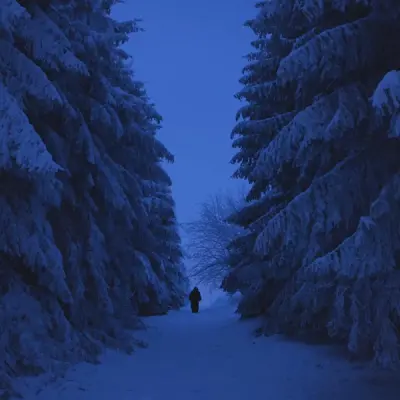 Faidra - Дискография (2020-2025)