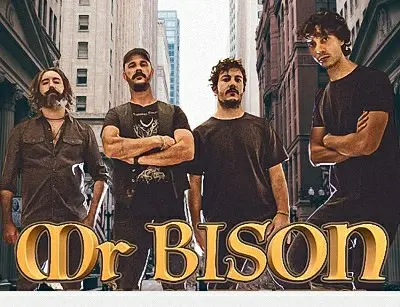 Mr. Bison - Дискография (2011-2024)