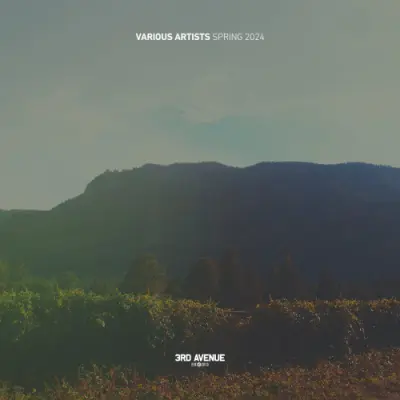 Best Of 3rd Avenue | Spring 2024 (2024)