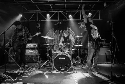 Callus - Дискография (2014-2024)