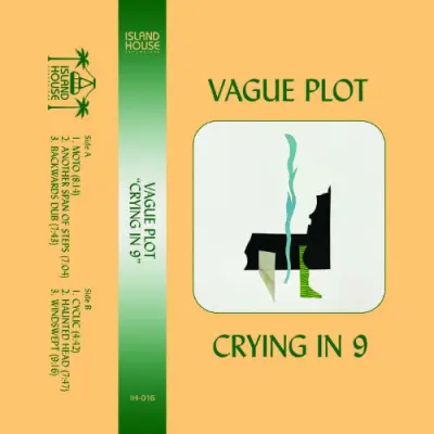Vague Plot - Crying In 9 (2024)