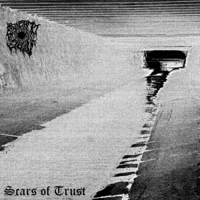 Bright Sun - Scars of Trust (2024)