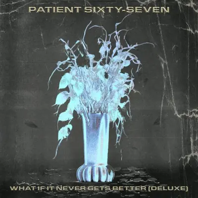 Patient Sixty-Seven - What If It Never Gets Better (Deluxe Edition) (2025)