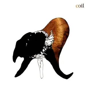Coil / Black Antlers 2025