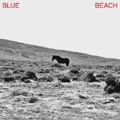 Josh Vine • Blue Beach 2025