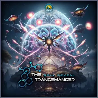 The Trancemancer / Soul Reveal