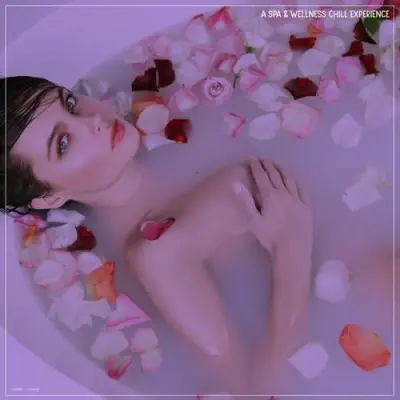A Spa & Wellness Chill Experience