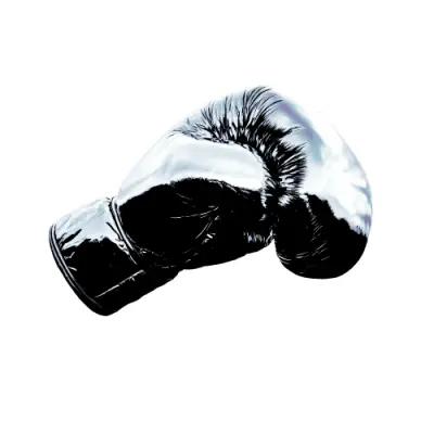 Bryan Adams / Roll With The Punches (Super Deluxe Edition)