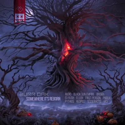 Burr Oak / Somewhere It's Reborn