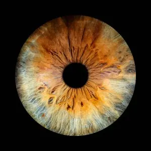 Andrew Weiss / The Last of the Outdoor Kids