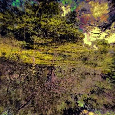 The Creature Cage - Stagnum Opus: Songs From The Bog