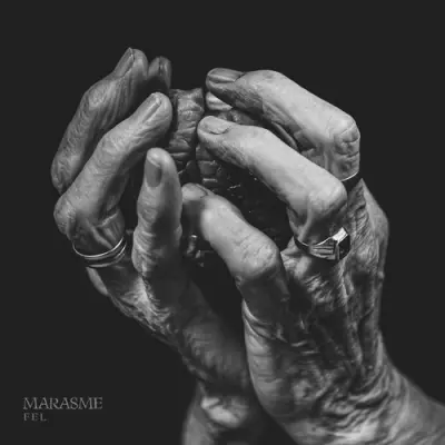 Marasme - Fel