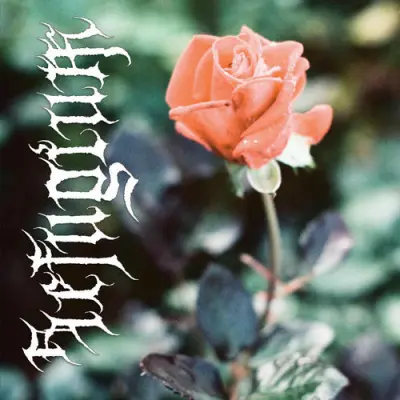 Refugium - In Hope Of Eternal Life
